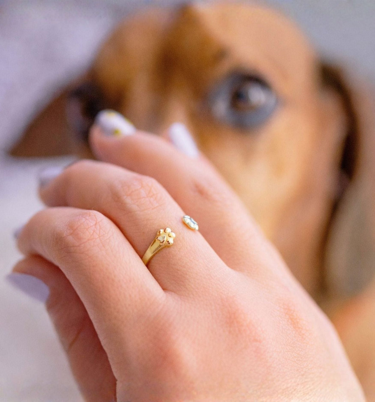Hunde Pfotenring