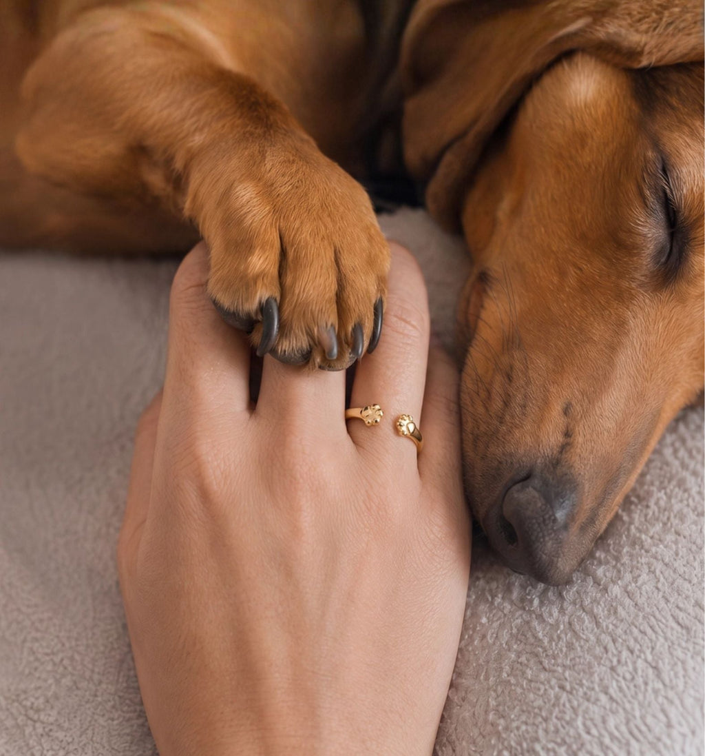 Hunde Pfotenring